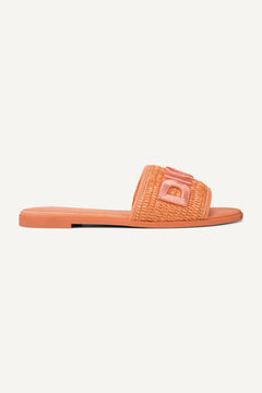 Orange Sherbet